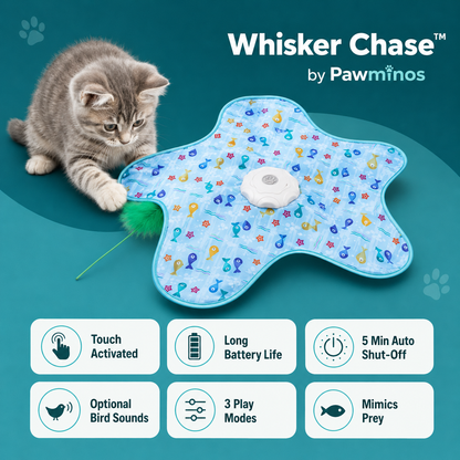 Whisker Chase™