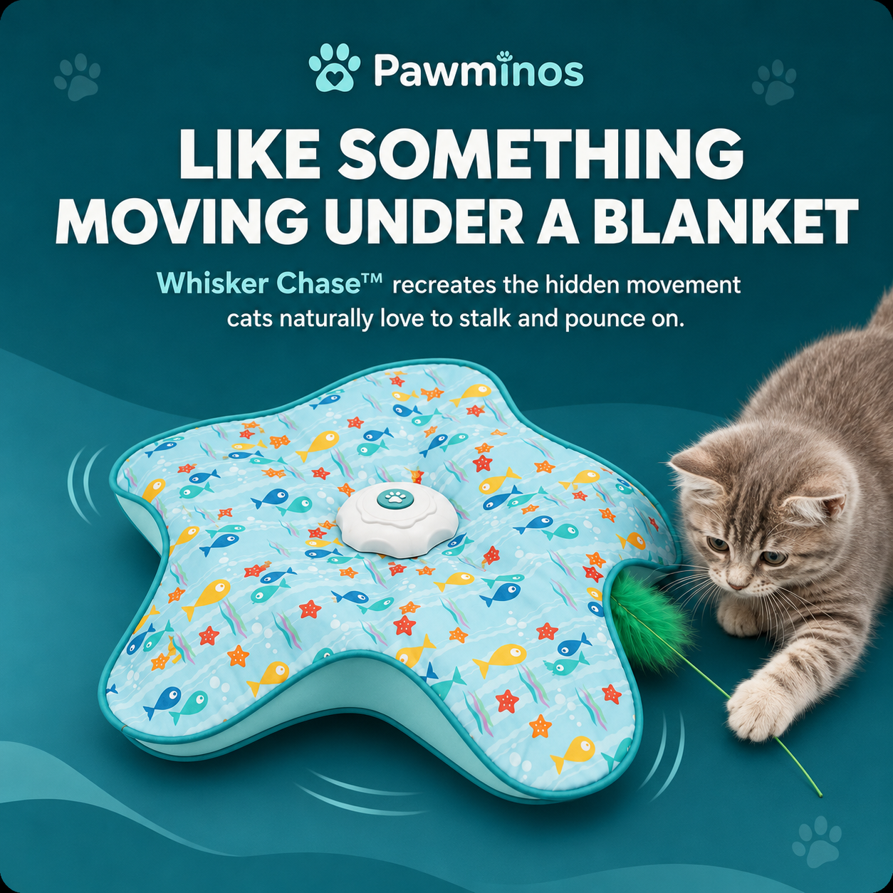 Whisker Chase™