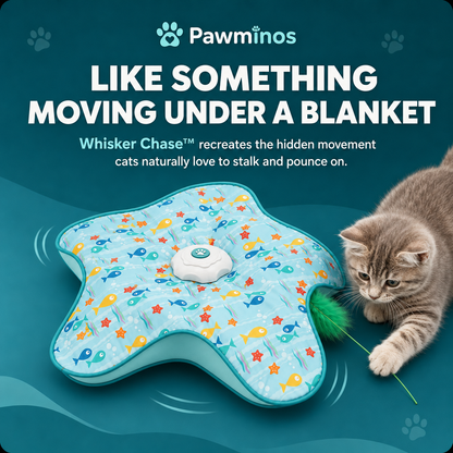 Whisker Chase™