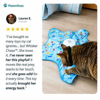 Whisker Chase™